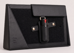 Anchor System with personal safety item organized inside a purse